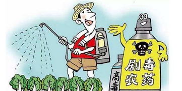 6月起哪些新規(guī)將影響你的生活？景泰人必看的法律要點(diǎn)解析